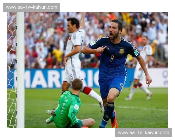 龙影泰踪：揭秘一龙VS播求，那场被裁判“改写”的世纪恩怨与胜负真相